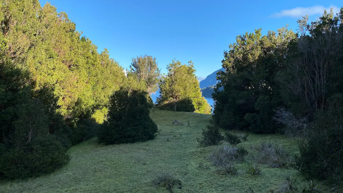 Paisaje natural de Isla Patagonia con montanas nevadas y vegetacion nativa