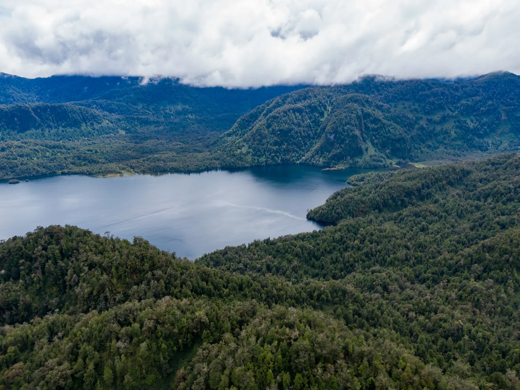 Bosque milenario y costa pristina del Fiordo Quitralco en la Patagonia chilena